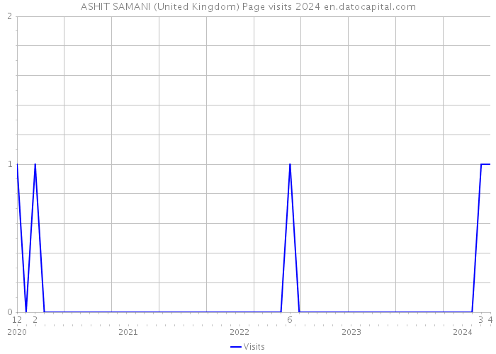 ASHIT SAMANI (United Kingdom) Page visits 2024 