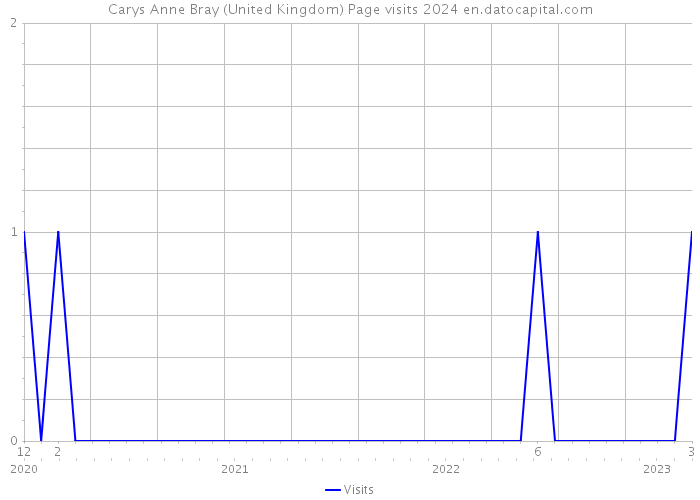 Carys Anne Bray (United Kingdom) Page visits 2024 