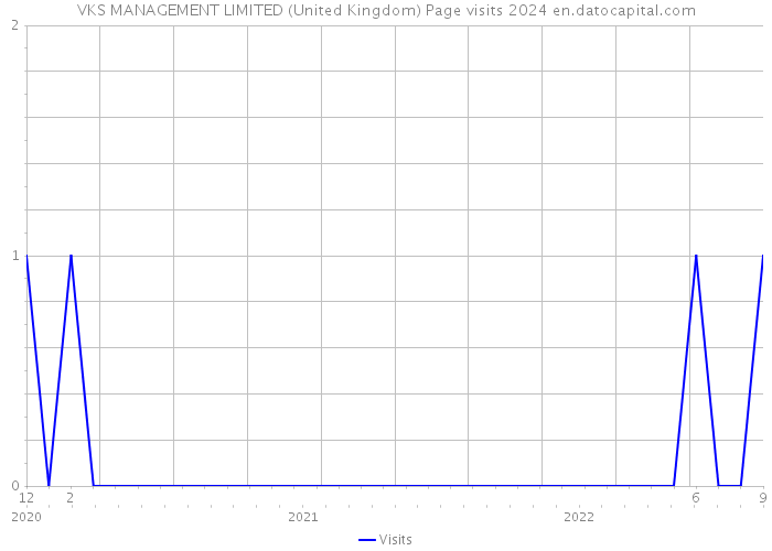 VKS MANAGEMENT LIMITED (United Kingdom) Page visits 2024 