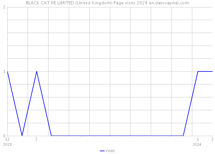 BLACK CAT RE LIMITED (United Kingdom) Page visits 2024 