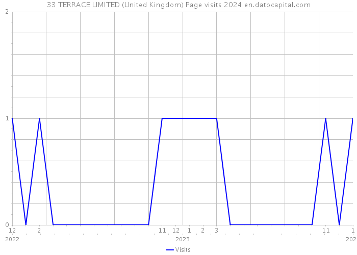 33 TERRACE LIMITED (United Kingdom) Page visits 2024 