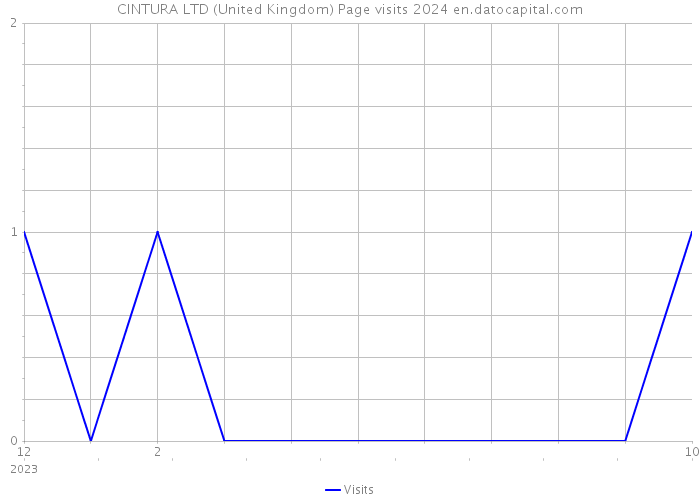 CINTURA LTD (United Kingdom) Page visits 2024 