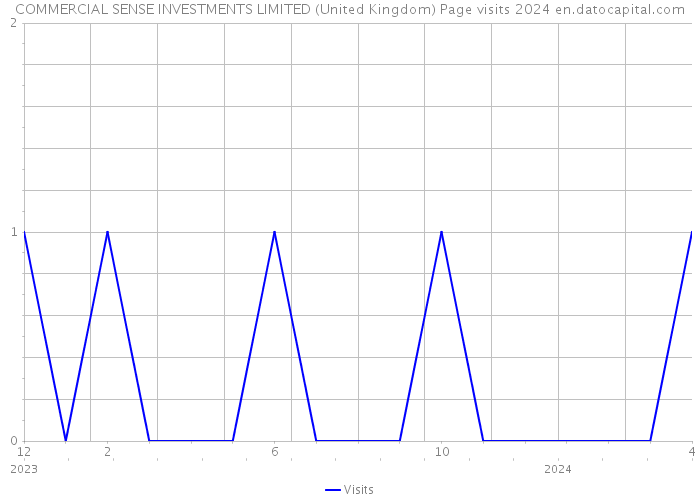 COMMERCIAL SENSE INVESTMENTS LIMITED (United Kingdom) Page visits 2024 