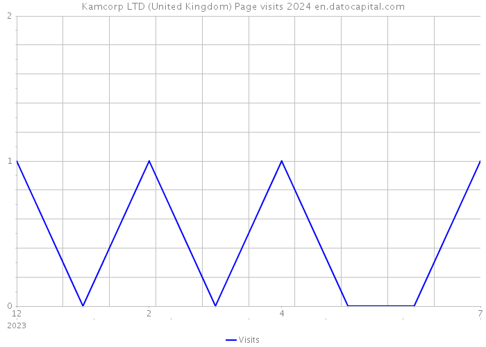 Kamcorp LTD (United Kingdom) Page visits 2024 