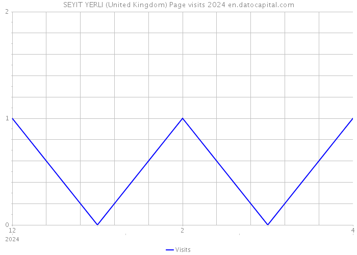 SEYIT YERLI (United Kingdom) Page visits 2024 
