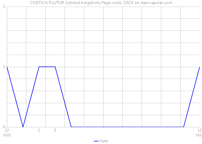 COSTICA FLUTUR (United Kingdom) Page visits 2024 