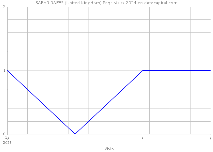 BABAR RAEES (United Kingdom) Page visits 2024 