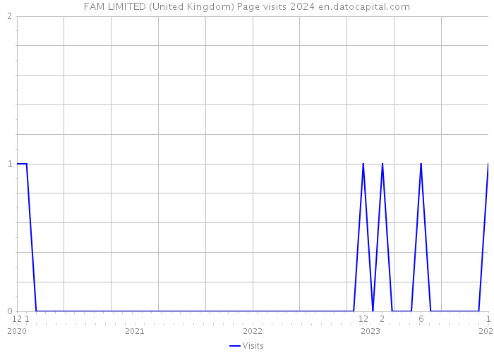 FAM LIMITED (United Kingdom) Page visits 2024 
