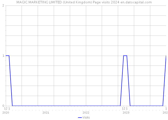 MAGIC MARKETING LIMITED (United Kingdom) Page visits 2024 
