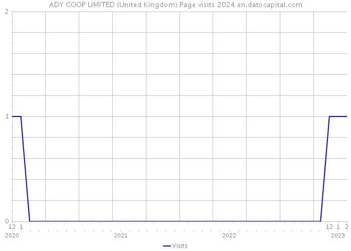 ADY COOP LIMITED (United Kingdom) Page visits 2024 