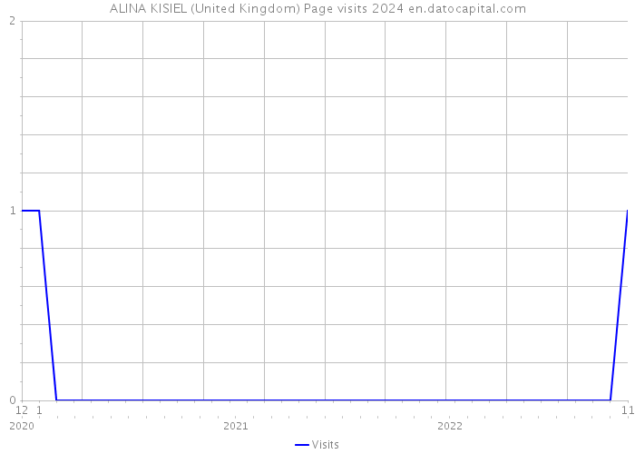 ALINA KISIEL (United Kingdom) Page visits 2024 