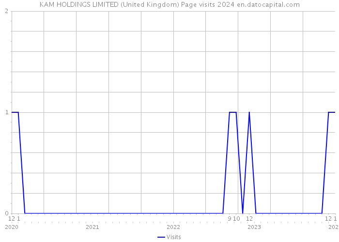KAM HOLDINGS LIMITED (United Kingdom) Page visits 2024 