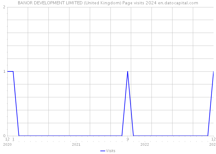 BANOR DEVELOPMENT LIMITED (United Kingdom) Page visits 2024 