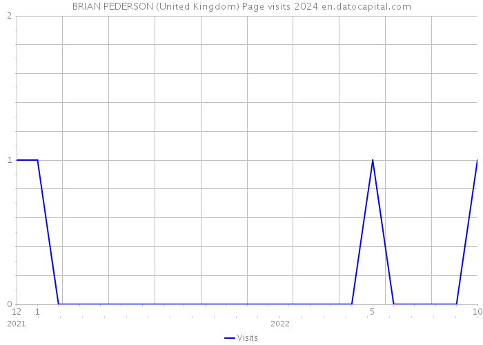 BRIAN PEDERSON (United Kingdom) Page visits 2024 