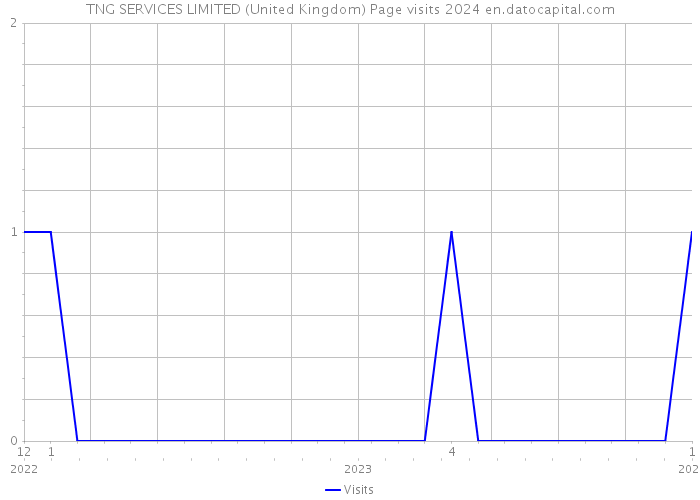 TNG SERVICES LIMITED (United Kingdom) Page visits 2024 