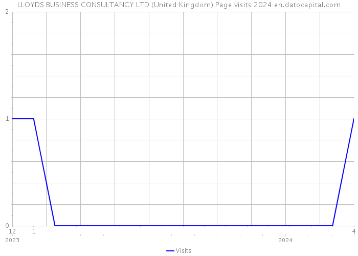 LLOYDS BUSINESS CONSULTANCY LTD (United Kingdom) Page visits 2024 