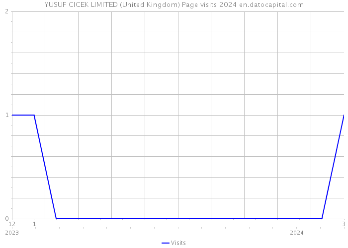 YUSUF CICEK LIMITED (United Kingdom) Page visits 2024 