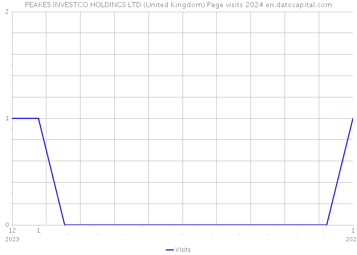 PEAKES INVESTCO HOLDINGS LTD (United Kingdom) Page visits 2024 