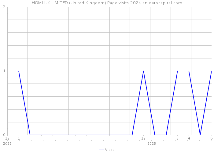 HOMI UK LIMITED (United Kingdom) Page visits 2024 