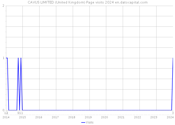 CAVUS LIMITED (United Kingdom) Page visits 2024 