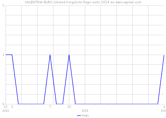 VALENTINA BURG (United Kingdom) Page visits 2024 