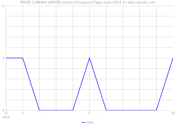 PEKER COBHAM LIMITED (United Kingdom) Page visits 2024 