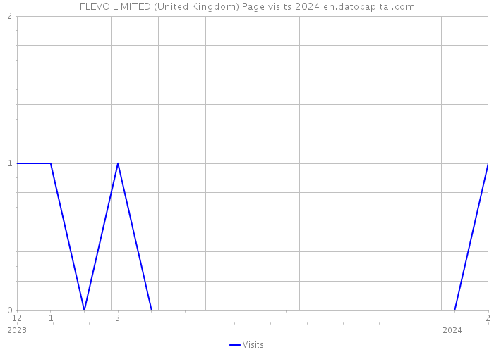 FLEVO LIMITED (United Kingdom) Page visits 2024 