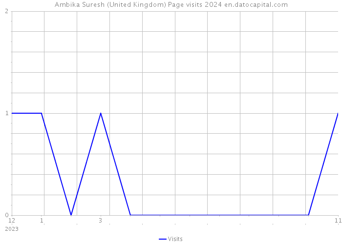Ambika Suresh (United Kingdom) Page visits 2024 