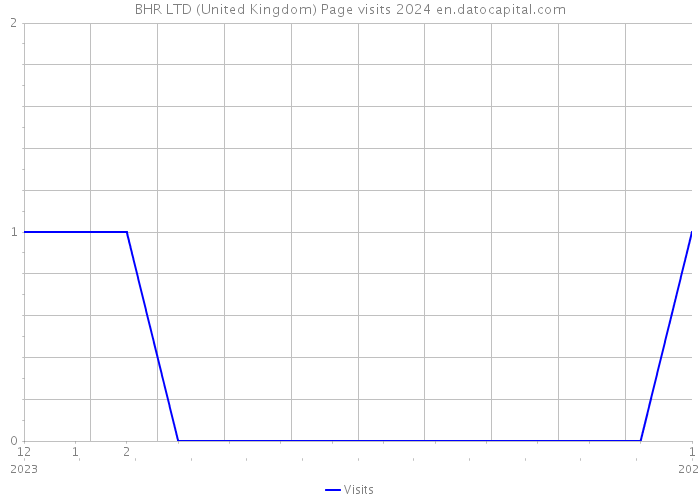BHR LTD (United Kingdom) Page visits 2024 