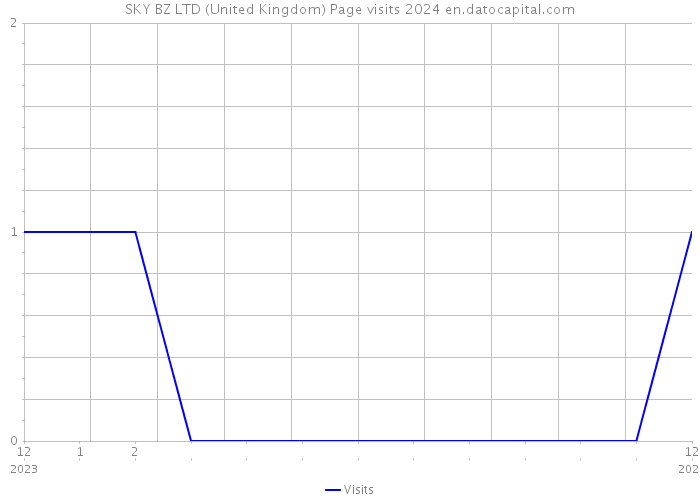 SKY BZ LTD (United Kingdom) Page visits 2024 