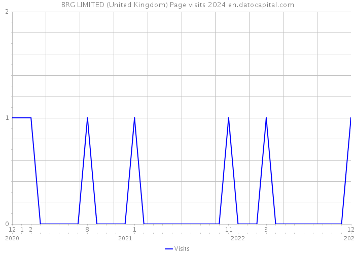 BRG LIMITED (United Kingdom) Page visits 2024 
