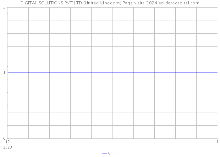 DIGITAL SOLUTIONS PVT LTD (United Kingdom) Page visits 2024 