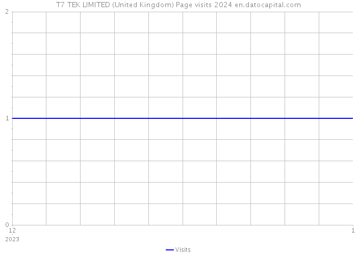 T7 TEK LIMITED (United Kingdom) Page visits 2024 