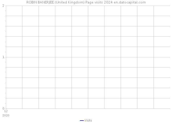 ROBIN BANERJEE (United Kingdom) Page visits 2024 