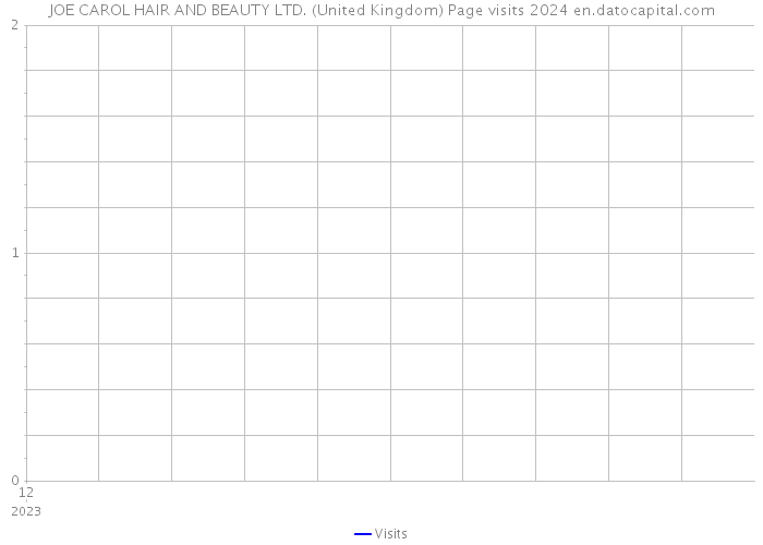 JOE CAROL HAIR AND BEAUTY LTD. (United Kingdom) Page visits 2024 