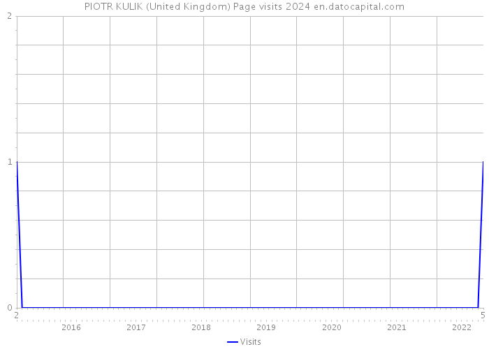 PIOTR KULIK (United Kingdom) Page visits 2024 