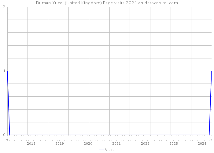 Duman Yucel (United Kingdom) Page visits 2024 