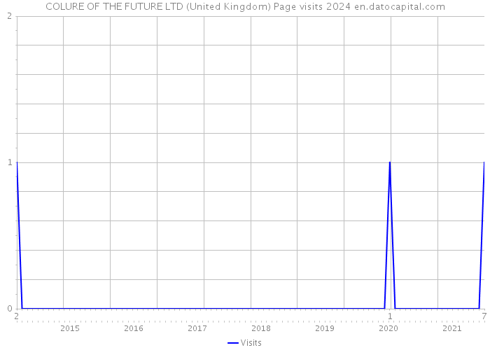 COLURE OF THE FUTURE LTD (United Kingdom) Page visits 2024 