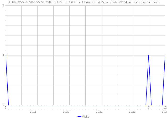 BURROWS BUSINESS SERVICES LIMITED (United Kingdom) Page visits 2024 