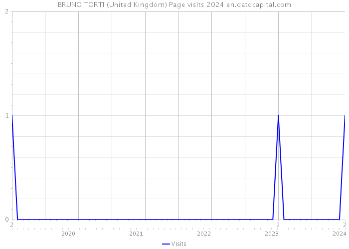 BRUNO TORTI (United Kingdom) Page visits 2024 