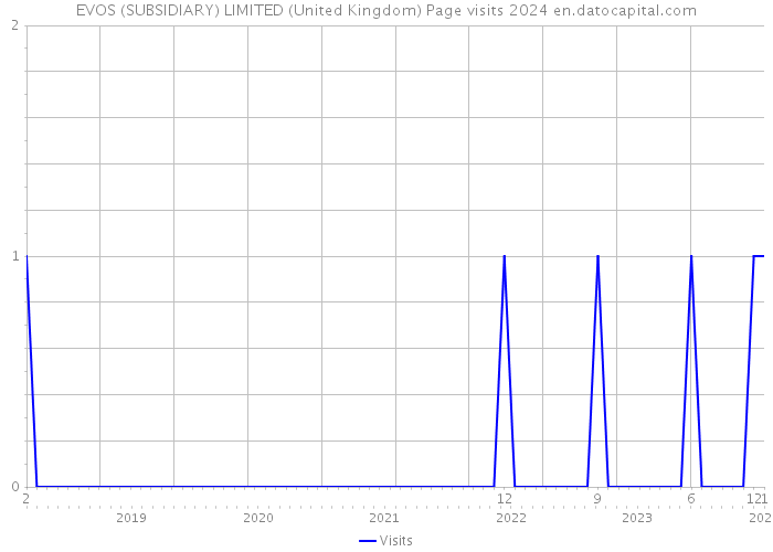 EVOS (SUBSIDIARY) LIMITED (United Kingdom) Page visits 2024 