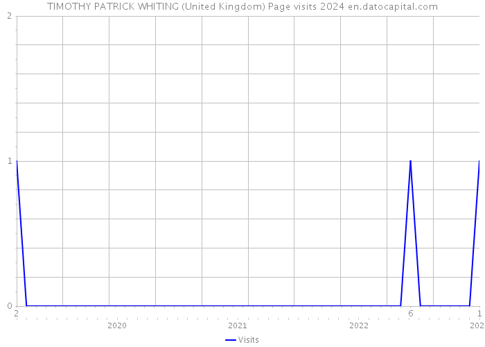 TIMOTHY PATRICK WHITING (United Kingdom) Page visits 2024 