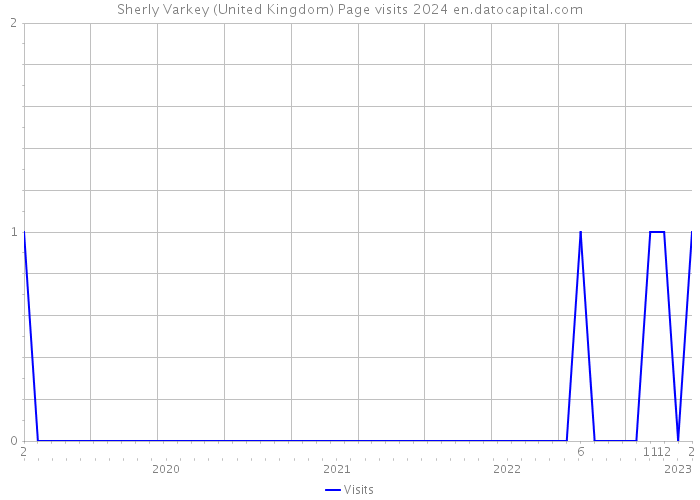 Sherly Varkey (United Kingdom) Page visits 2024 