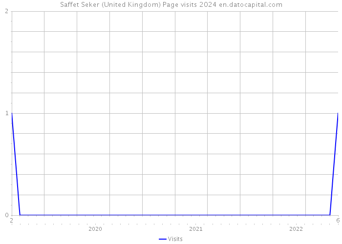 Saffet Seker (United Kingdom) Page visits 2024 
