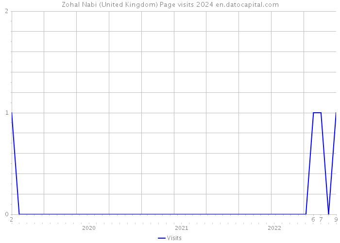 Zohal Nabi (United Kingdom) Page visits 2024 
