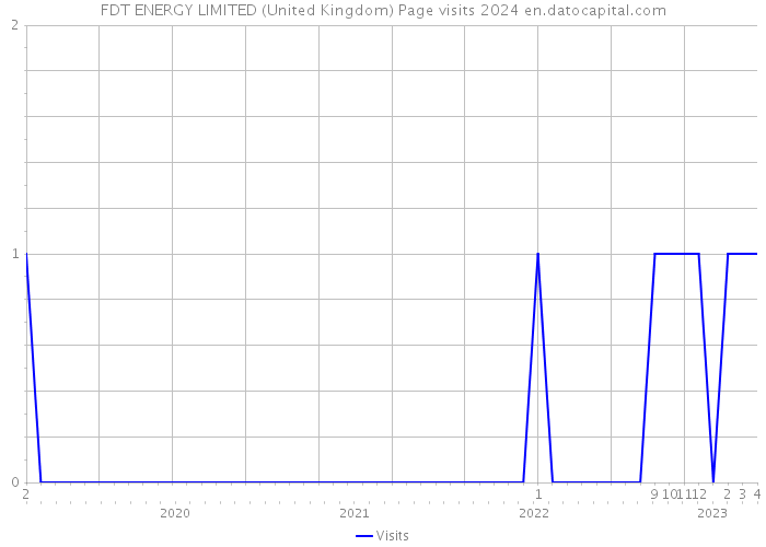 FDT ENERGY LIMITED (United Kingdom) Page visits 2024 