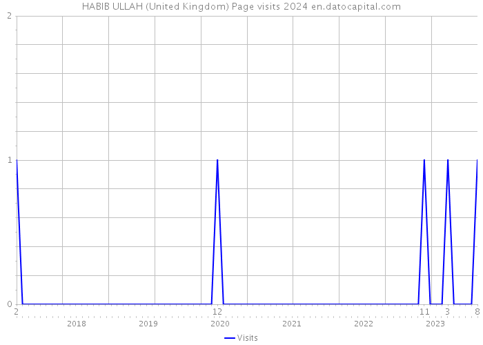HABIB ULLAH (United Kingdom) Page visits 2024 