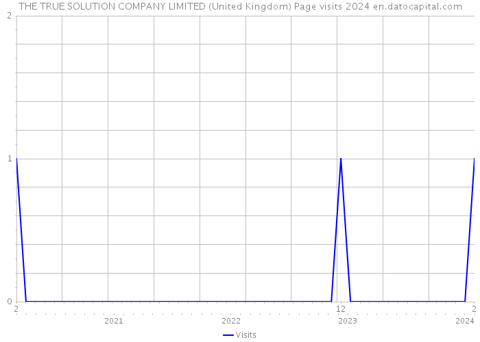 THE TRUE SOLUTION COMPANY LIMITED (United Kingdom) Page visits 2024 