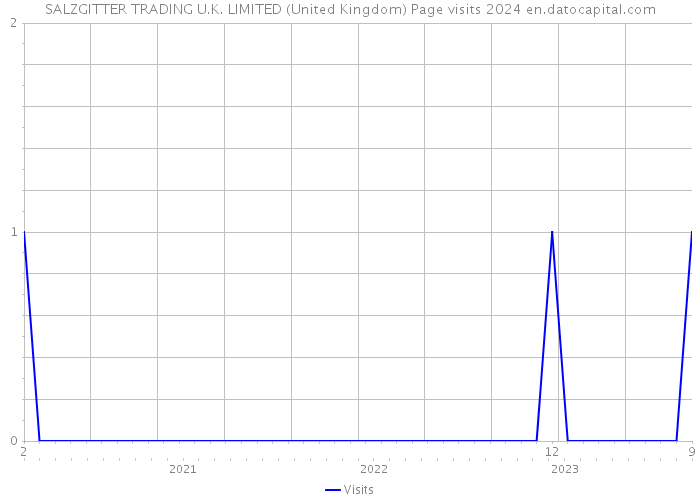 SALZGITTER TRADING U.K. LIMITED (United Kingdom) Page visits 2024 