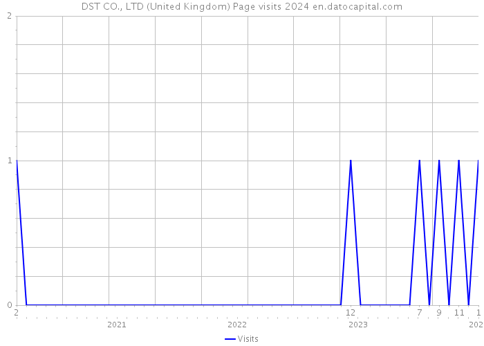 DST CO., LTD (United Kingdom) Page visits 2024 